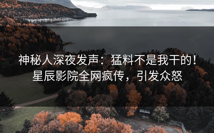 神秘人深夜发声：猛料不是我干的！星辰影院全网疯传，引发众怒